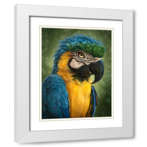 Parrot Totem White Modern Wood Framed Art Print with Double Matting by LaMontagne, Patrick