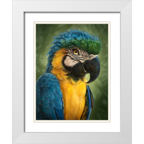 Parrot Totem White Modern Wood Framed Art Print with Double Matting by LaMontagne, Patrick