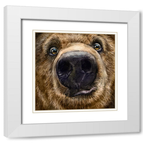 Kodiak Closeup White Modern Wood Framed Art Print with Double Matting by LaMontagne, Patrick