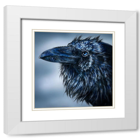 Blue Beak Raven White Modern Wood Framed Art Print with Double Matting by LaMontagne, Patrick