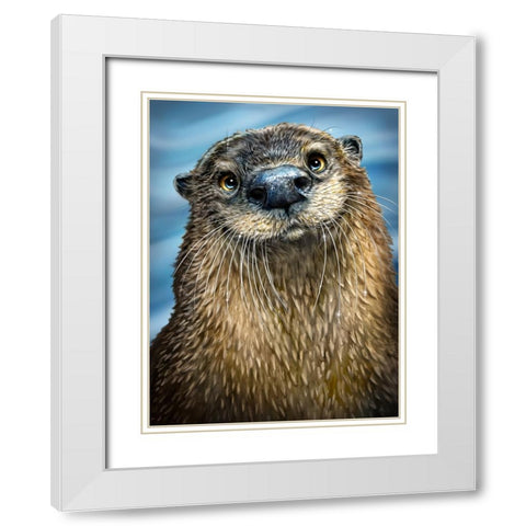 River Otter White Modern Wood Framed Art Print with Double Matting by LaMontagne, Patrick