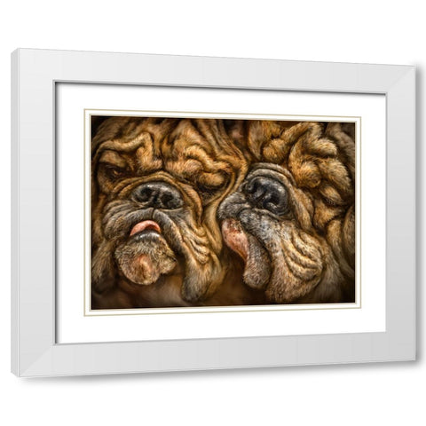 Wrinkles White Modern Wood Framed Art Print with Double Matting by LaMontagne, Patrick