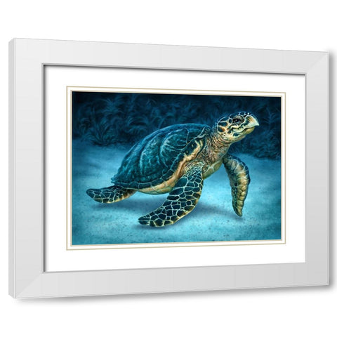 Sea Turtle White Modern Wood Framed Art Print with Double Matting by LaMontagne, Patrick