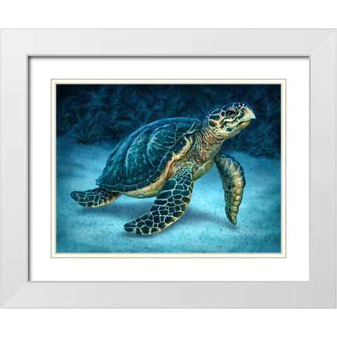 Sea Turtle White Modern Wood Framed Art Print with Double Matting by LaMontagne, Patrick