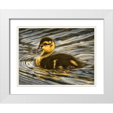 Duckling White Modern Wood Framed Art Print with Double Matting by LaMontagne, Patrick