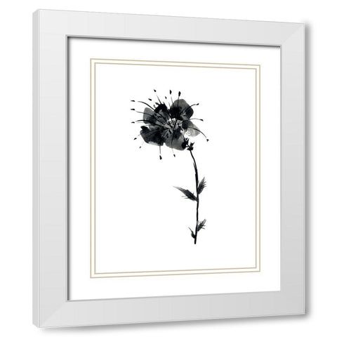 Standing Strong White Modern Wood Framed Art Print with Double Matting by Randy Noble Fine Art