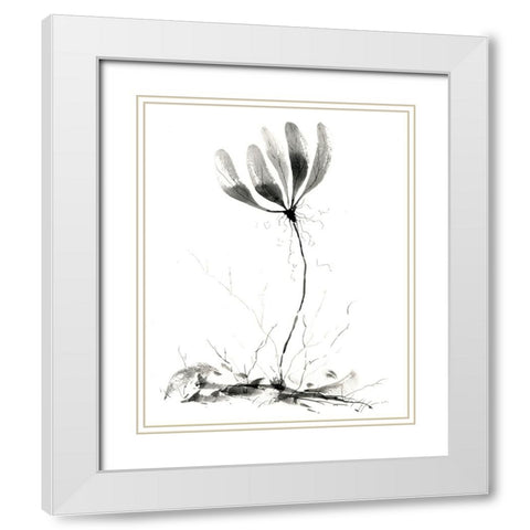 Spring Flower White Modern Wood Framed Art Print with Double Matting by Randy Noble Fine Art