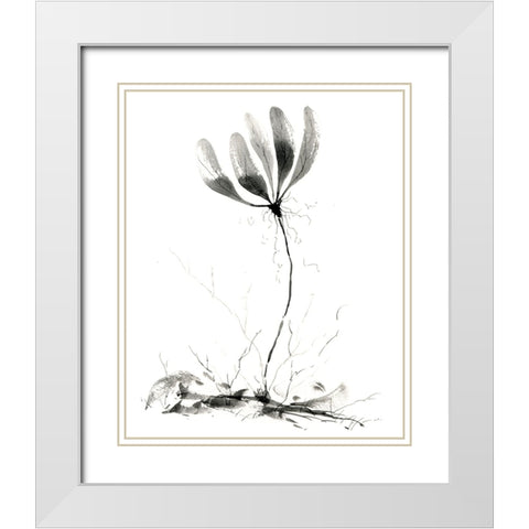 Spring Flower White Modern Wood Framed Art Print with Double Matting by Randy Noble Fine Art