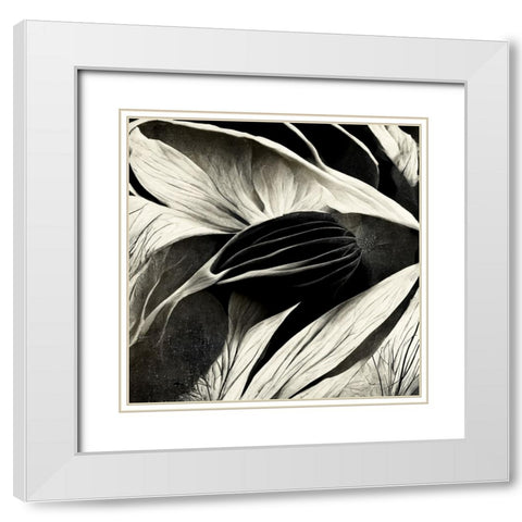 B002 Flowers Black White White Modern Wood Framed Art Print with Double Matting by Heere, Ray