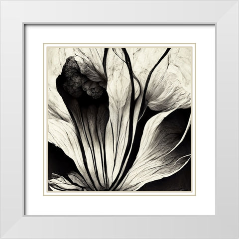 B003 Flowers Black White White Modern Wood Framed Art Print with Double Matting by Heere, Ray