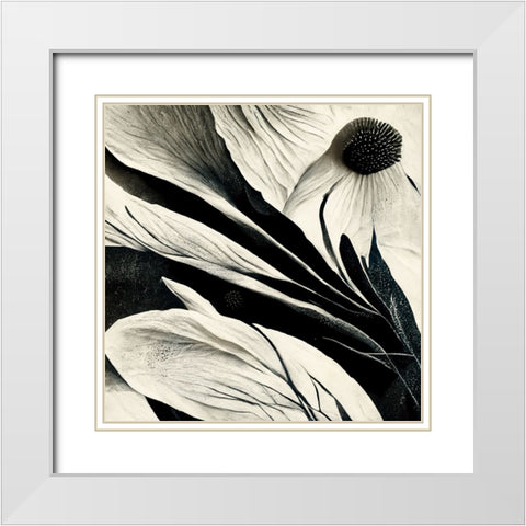B007 Flowers Black White White Modern Wood Framed Art Print with Double Matting by Heere, Ray