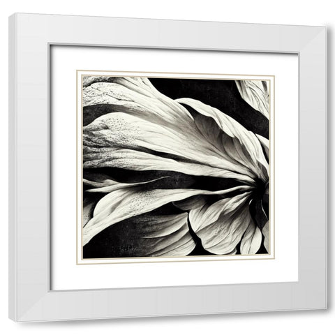 B009 Flowers Black White White Modern Wood Framed Art Print with Double Matting by Heere, Ray