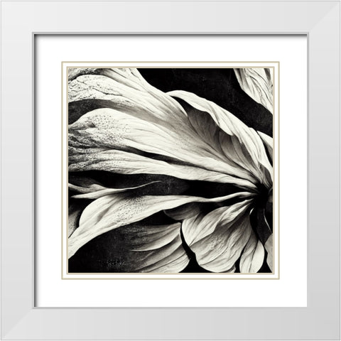 B009 Flowers Black White White Modern Wood Framed Art Print with Double Matting by Heere, Ray