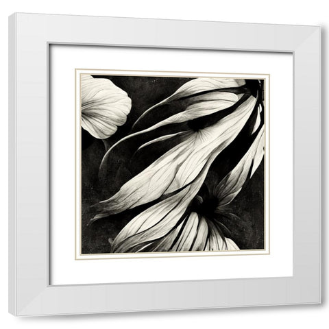 B011 Flowers Black White White Modern Wood Framed Art Print with Double Matting by Heere, Ray