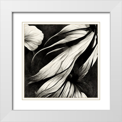 B011 Flowers Black White White Modern Wood Framed Art Print with Double Matting by Heere, Ray
