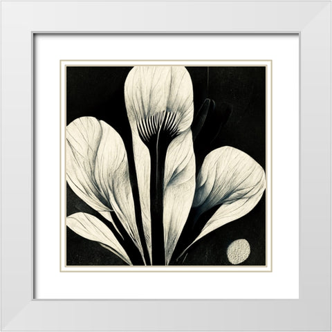 B013 Flowers Black White White Modern Wood Framed Art Print with Double Matting by Heere, Ray