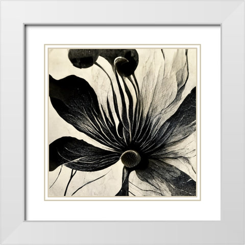 B014 Flowers Black White White Modern Wood Framed Art Print with Double Matting by Heere, Ray