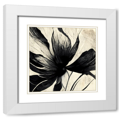 B016 Flowers Black White White Modern Wood Framed Art Print with Double Matting by Heere, Ray