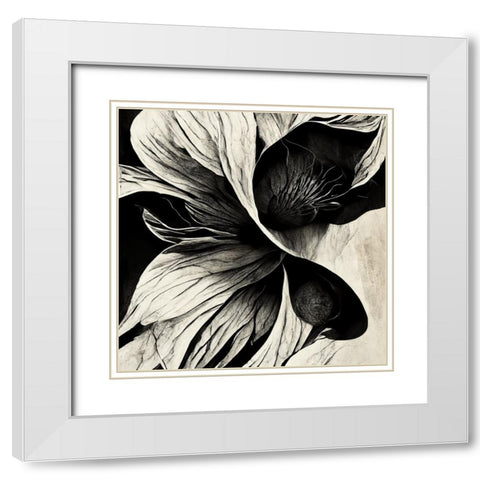 B020 Flowers Black White White Modern Wood Framed Art Print with Double Matting by Heere, Ray