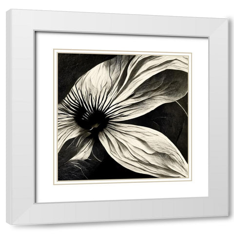 B022 Flowers Black White White Modern Wood Framed Art Print with Double Matting by Heere, Ray