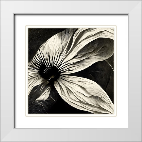 B022 Flowers Black White White Modern Wood Framed Art Print with Double Matting by Heere, Ray