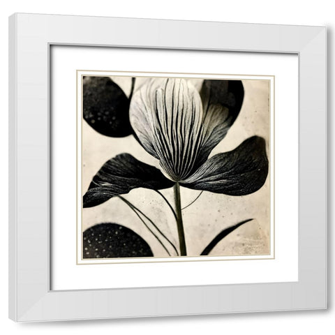 B026 Flowers Black White White Modern Wood Framed Art Print with Double Matting by Heere, Ray