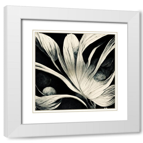 B029 Flowers Black White White Modern Wood Framed Art Print with Double Matting by Heere, Ray