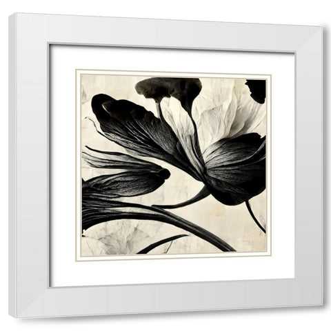 B033 Flowers Black White White Modern Wood Framed Art Print with Double Matting by Heere, Ray