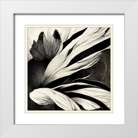 B035 Flowers Black White White Modern Wood Framed Art Print with Double Matting by Heere, Ray