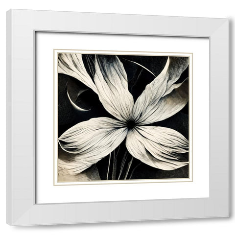 B036 Flowers Black White White Modern Wood Framed Art Print with Double Matting by Heere, Ray