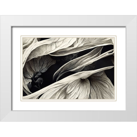 B039 Flowers Black White White Modern Wood Framed Art Print with Double Matting by Heere, Ray