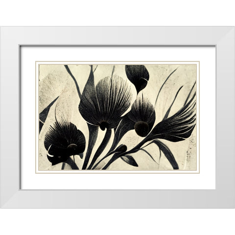 B054 Flowers Black White White Modern Wood Framed Art Print with Double Matting by Heere, Ray