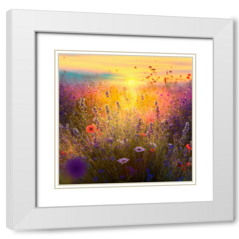 H001 Flowering Fields White Modern Wood Framed Art Print with Double Matting by Heere, Ray