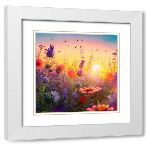 H004 Flowering Fields White Modern Wood Framed Art Print with Double Matting by Heere, Ray