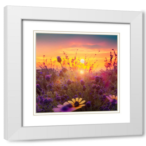 H005 Flowering Fields White Modern Wood Framed Art Print with Double Matting by Heere, Ray
