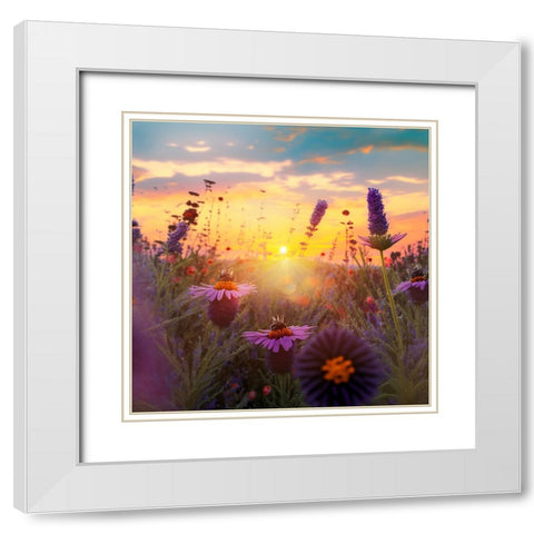 H006 Flowering Fields White Modern Wood Framed Art Print with Double Matting by Heere, Ray