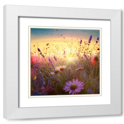 H007 Flowering Fields White Modern Wood Framed Art Print with Double Matting by Heere, Ray