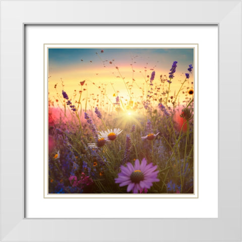 H007 Flowering Fields White Modern Wood Framed Art Print with Double Matting by Heere, Ray