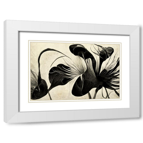 B068 Flowers Black White White Modern Wood Framed Art Print with Double Matting by Heere, Ray