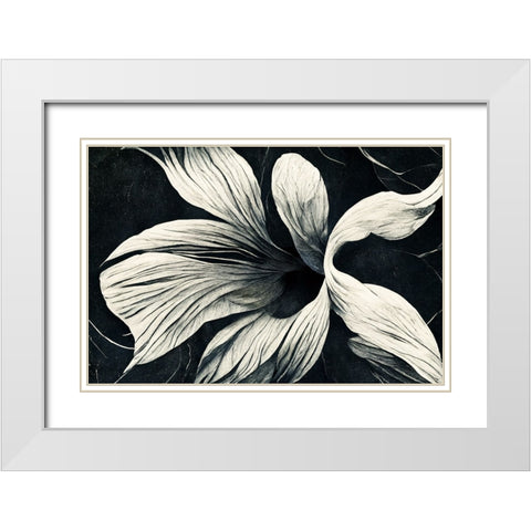 B070 Flowers Black White White Modern Wood Framed Art Print with Double Matting by Heere, Ray