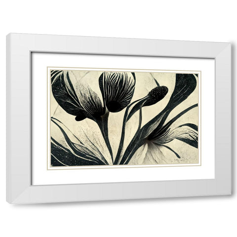 B072 Flowers Black White White Modern Wood Framed Art Print with Double Matting by Heere, Ray