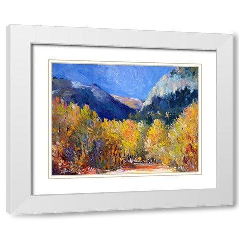 Cotton White Modern Wood Framed Art Print with Double Matting by Wallich, Richard
