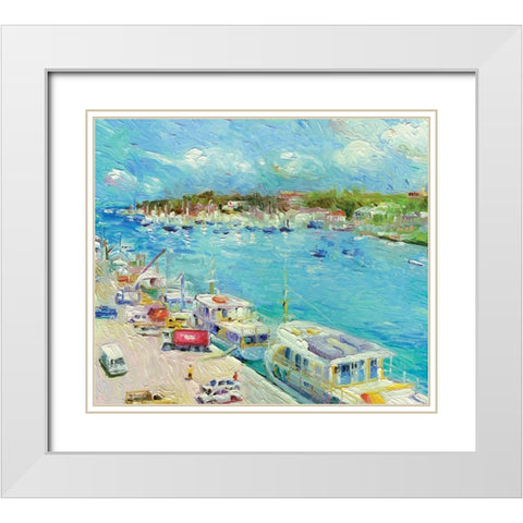 Bahamas White Modern Wood Framed Art Print with Double Matting by Wallich, Richard