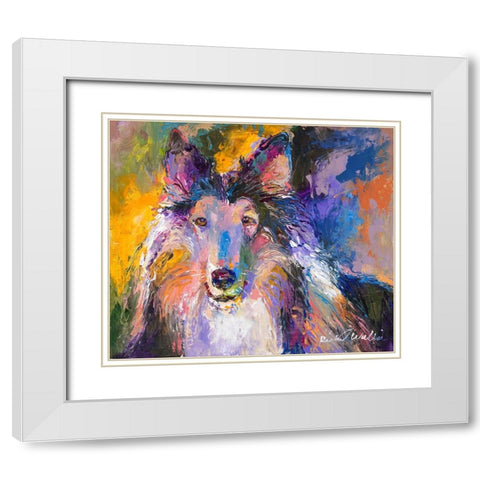 Collie White Modern Wood Framed Art Print with Double Matting by Wallich, Richard