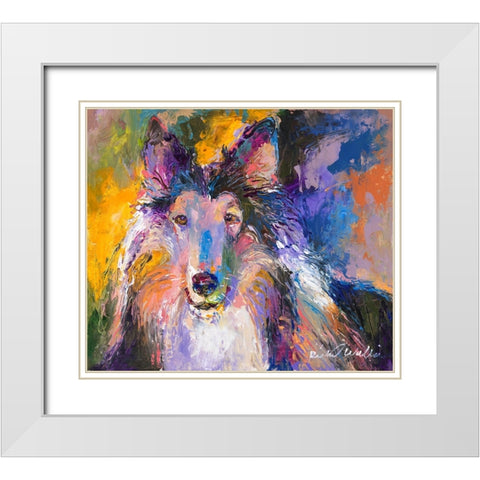 Collie White Modern Wood Framed Art Print with Double Matting by Wallich, Richard