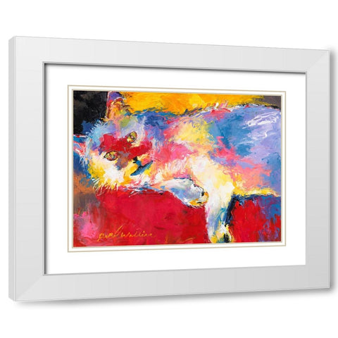 Mac White Modern Wood Framed Art Print with Double Matting by Wallich, Richard