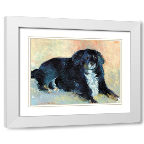 Harley White Modern Wood Framed Art Print with Double Matting by Wallich, Richard