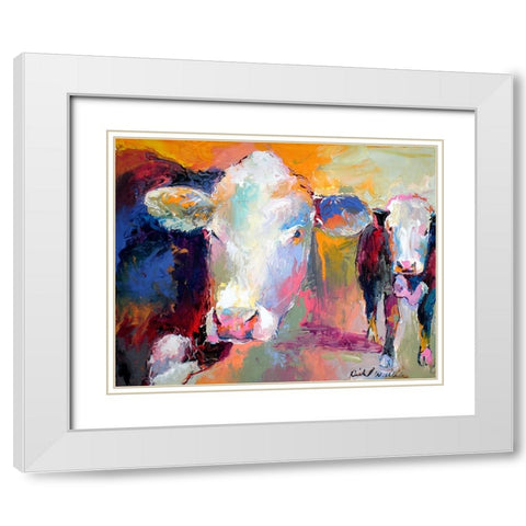 Art Cows White Modern Wood Framed Art Print with Double Matting by Wallich, Richard