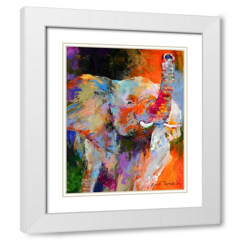 artele1 White Modern Wood Framed Art Print with Double Matting by Wallich, Richard