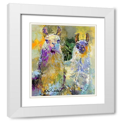 Llamas White Modern Wood Framed Art Print with Double Matting by Wallich, Richard